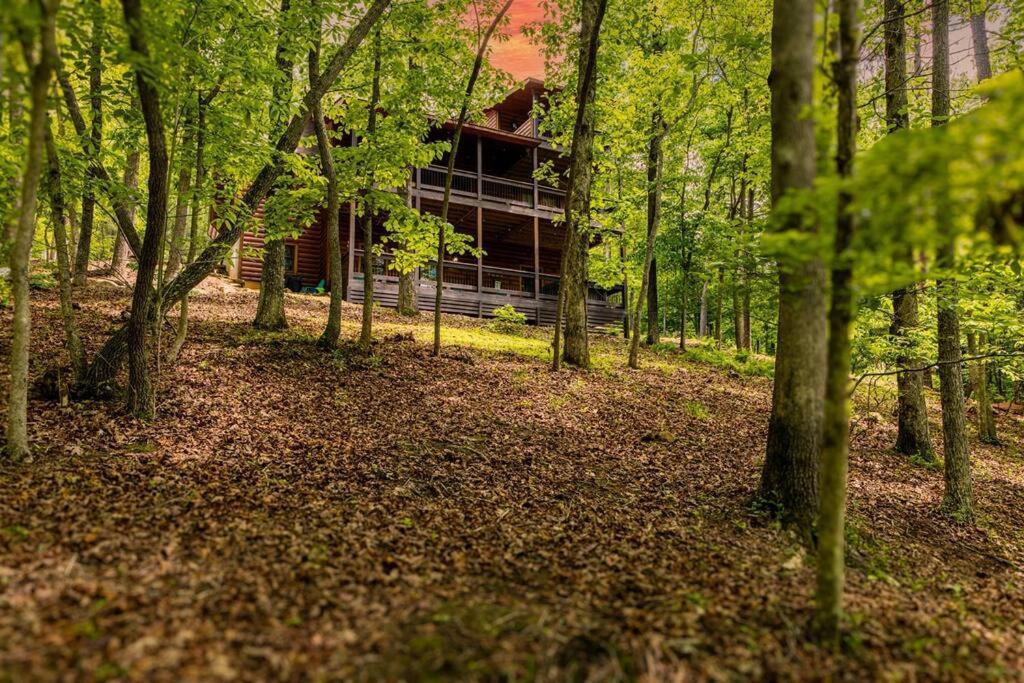Luxe Family Cabin 8 Min To Downtown بلو ريدج المظهر الخارجي الصورة